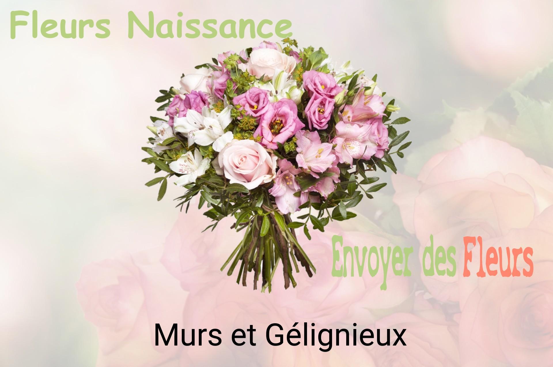 Bouquet de fleurs de naissance livré à Murs-et-Gélignieux